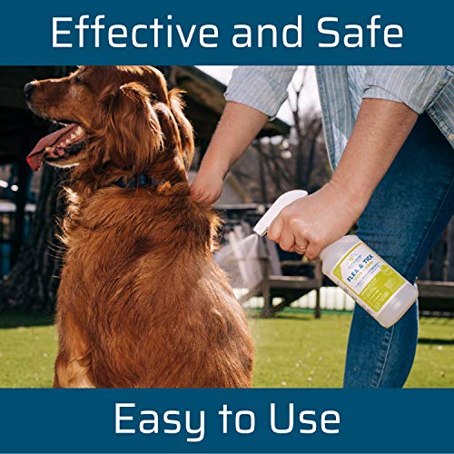 Wondercide-Pet-Parent-Kit-for-Dogs-and-Cats-Natural-Flea-Tick-Mosquito-Control-Spray-Pack-16-oz-Lemongrass-4-oz-Rosemary-and-8-oz-Natural-Skin-Tonic-Spray-and-First-Aid-Remedy