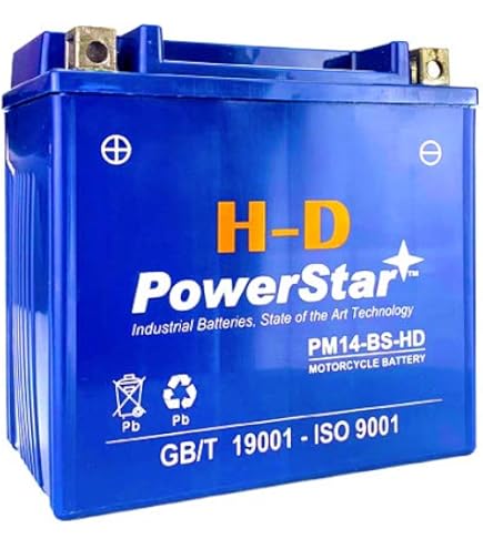 Amazon.com: HONDA 31500-HC4-726AH BATTERY (YTX14-BS