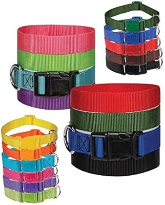 bulk puppy collars