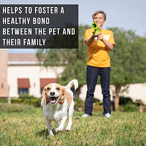 best dog ball thrower