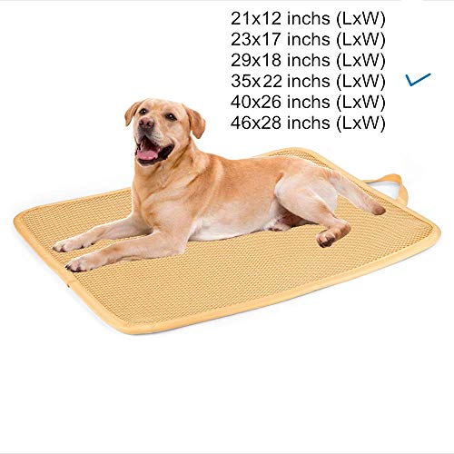 Best Dog Crate Pads Buyer's Guide Scout Knows