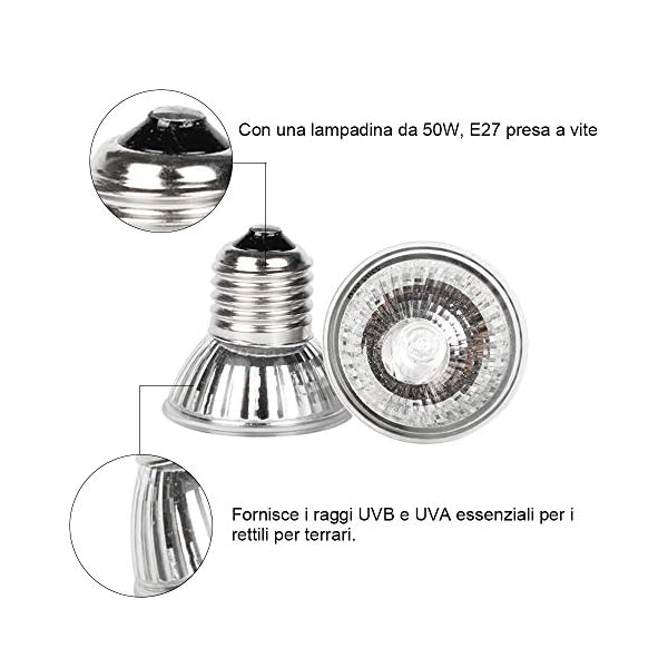 GOLDGE Tartaruga Illuminazione, 25W Basking Lampada Alogena Calore Retroilluminazione UVA UVB per Rettile Lucertola… GOLDGE GOLDGE Tartaruga Illuminazione, 25W Basking Lampada Alogena Calore Retroilluminazione UVA UVB per Rettile Lucertola…