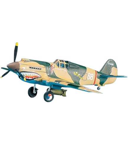 Amazon.com: Hobby Boss IL-2 Sturmovik Airplane Model Building Kit