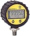 Enerpac DGR-2 Digital Hydraulic Pressure Gauge, 0 to 20,000 PSI, 1/4