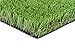 New 15' Foot Roll Artificial Grass Turf Synthetic Fescue Pet Sale! Many Sizes! (2 Turf Samples 12'' x 12'')