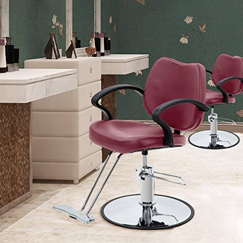 Salon Chair Barber Chair Styling Heavy Duty Hydraulic Pump Barber Chairs Beauty Salon Chair Shampoo Barbering Chair for Hair Stylist Women Man Salon Equipment - Thumbnail 5