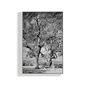 Framed Home Artwork Plants for Living Room Bedroom