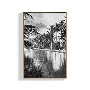 Framed Canvas Home Artwork Decoration Plants Canvas Wall Art for Living Room, Bedroom - 16x24 inches