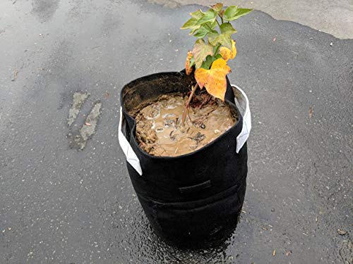 247Garden 5-Pack 15-Gallon Potato Grow Bags/Aeration Fabric Pots w/Handles & Flap Door for Easy Harvesting (Black)