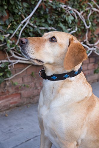 Gaucho Goods Premium Hand Stitched Leather Dog Collar (S, Tahoe)