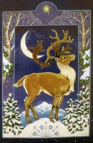 Nordic Deer Winter House Flag Trees Moon Star Decorative Snow Covered 29" x 43"