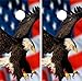 GRAPHIX Express - C210 American Flag Eagle - Patriotic Cornhole Board Wrap - Laminated Weatherproof Vinyl Decal - Easy Bubble-Free Application - Stickers Dimensions: 2' x 4' - Set of 2