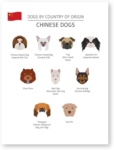 Amazon Co Jp 中国の犬の品種コレクションチャートポスターキャンバス絵画プリント犬原産国壁アート画像家の装飾 50x70cm フレームなし ホーム キッチン Amazon Co Jp 中国の犬の品種コレクションチャートポスターキャンバス絵画プリント犬原産国壁アート画像家の装飾 50x70cm フレームなし ホーム キッチン