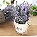 Leyaron 6 Bundles Artificial Lavender Bouquet Fake Lavender Bunch Purple Lavender Flowers Artificial Plant for Wedding, Home Decor, Office, Garden, Patio Decoration