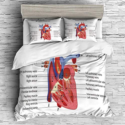 image for CHASOEA 3 Pieces/All Seasons/Home Comforter Bedding Sets Duvet Cover S