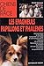 EPAGNEULS PAPILLONS ET PHALENES (CHIENS) by