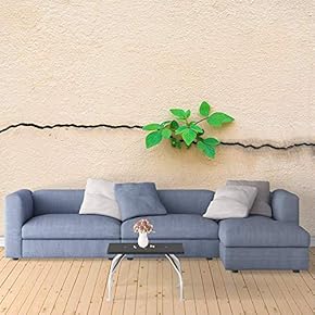 Wall Mural The Plant in A Crack of The Wall Removable Self-Adhesive Large Wallpaper - 66x96 inches