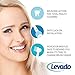 Ultimate Oral B Braun Replacement Brush Heads - Oral-B Dual Clean Electric Toothbrush Generic Brushes- Compatible w/ Oralb Pro 1000, 7000, 8000, 9000, 1500, 5000, 8900, 6000, 3000 & for Kids