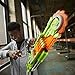 Nerf Zombie Strike Brainsaw Blaster