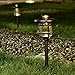 SOLPEX 6 Pack Solar Path Lights Outdoor, Glass and Bronze Finished, High Lumen Output 2 Bright LEDs Light, Waterproof Automatic Solar Lights for Patio, Yard, Lawn, Garden