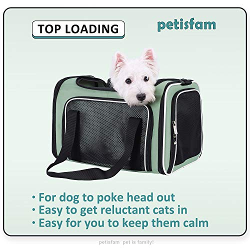 Soft Pet Carriers for Medium and Large Cats, 2 Kitties and Small Dogs w