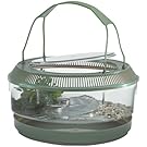 Lee's Fire Belly Landing, Round w/Lid, Handle, Tray, Plant