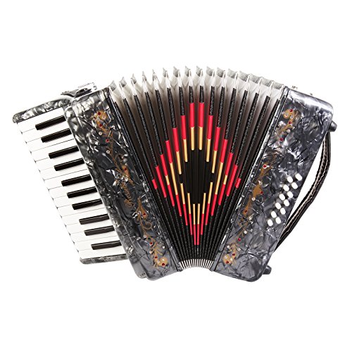 Rossetti Beginner Piano Accordion 12 Bass 25 Keys Grey