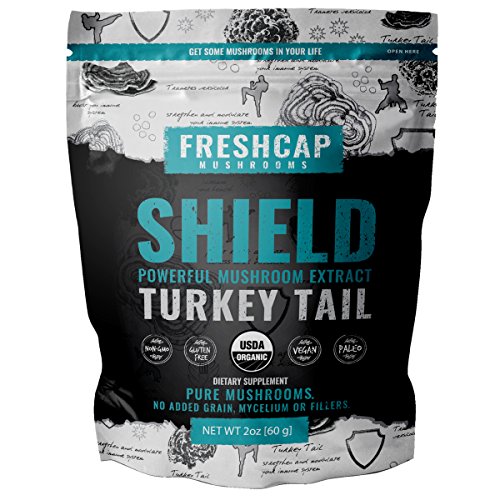 SHIELD - Turkey Tail Mushroom Extract Powder - USDA Organic -60 g- Supplement - Immune Protection - Add to Coffee/Tea/Smoothies-Real Fruiting Body No Fillers