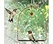 Songbird Essentials SEHHHUMS Copper Hummingbird Swings set of 2
