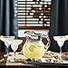 Libbey Cancun Entertaining Set with 6 Margarita Glasses and Pitcher