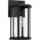 Capital Lighting 946611BK Walton Clear Glass Hexagonal Outdoor Wall Lantern, 1-Light 100 Watt, 13" H x 8" W, Black