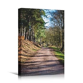 signwin Canvas Wall Art Green Forest Dramatic Forest...