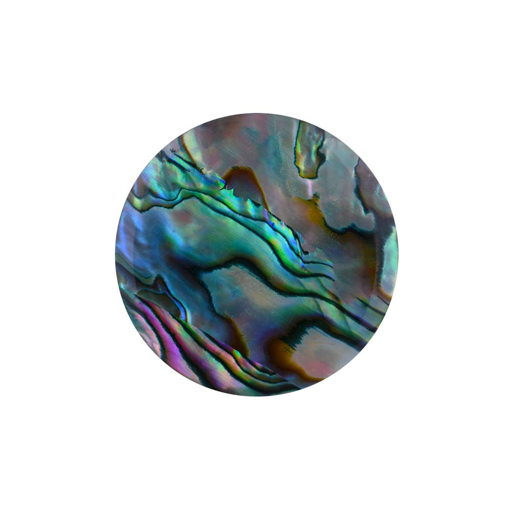 Quiges Natural Shell Small 25mm Coin Blue Abalone for Interchangeable Pendant Necklace