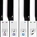 Color Piano Stickers for Keys w/Complete Printed Notes on Grand Staff - Removable w/Double Layer Coating for 49/61 / 76/88 Keyboards