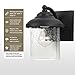 Sea Gull Lighting 84068-12 Lambert Hill One-Light Outdoor Wall Lantern with Clear Seeded Glass Shade, Black Finish