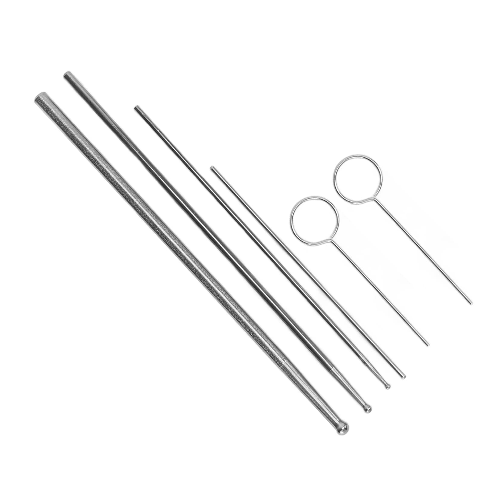 Stainless Steel Snake Sexing Probe Kit, Portable Design with Storage Box, Essential Tool for Reptile Keepers, Gender Identification for Corn Kingsnakes Hognose Snakes