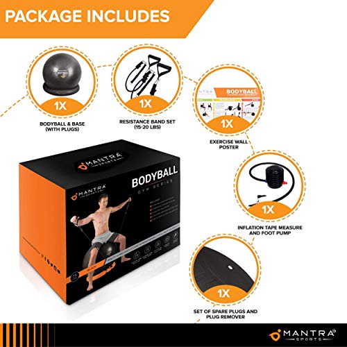 2 Exercise+Ball+Chair+Stability+Resistance