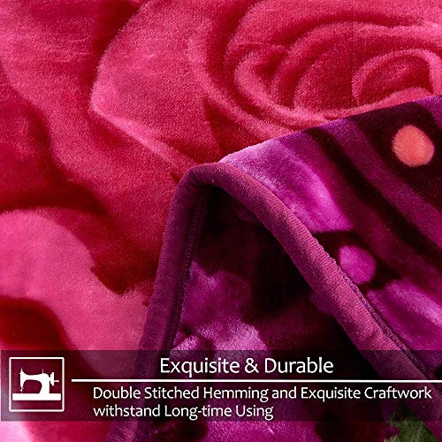JYK Heavy Korean Faux Mink Fleece Blanket, 5 LB 2 Ply Reversible