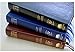 The Academy Study Bible KJV Ellen G. White Bible Commentary & Concordance & Strong's Hebrew and Greek Dictionary (Large Size)