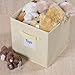 ClosetMate Foldable Cube Storage Bins - 6 Pack - Organizer- With Label Holder for Better Organization - Fabric Cubes Are Collapsible Great Organizer for Shelf, Closet or Storage