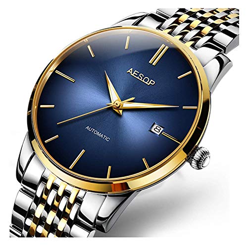 Fashion Men's Mechanical Watch Luxury Brands Watches Steel Band Date Waterproof Two Tone Men Wrist Watch (Silver Gold Blue)