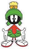 Marvin the Martian What Decal 5