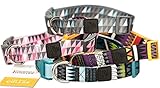 Dog Collar with Pattern designed by Friends Forever (Medium, Geometric Gray)