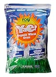 Yae! Organic Wheat Grass Powder, 70 Servings, 1.4 Pound Bag, 100% Pure, Locally Grown on USA Soil