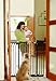Dreambaby Chelsea Extra-Tall & Wide Auto-Close Security Baby Safety Gate-Black-Model F191B