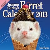 Jeanne Carley's Ferret 2013 Calendar: Cool Ferrets by