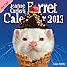 Jeanne Carley's Ferret 2013 Calendar: Cool Ferrets by