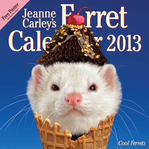 Jeanne Carley's Ferret 2013 Calendar: Cool Ferrets by
