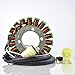 RMSTATOR Replacement for Stator Kawasaki Ninja ZX-12 R 2002 2003 | OEM Repl.# 21003-0011 21003-1391