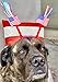 6 Bulk Patriotic Head Bopper Party Hats - Ideal for 4th of July Party Favors, Memorial Day BBQ, Fourth of July Parades or Fireworks, or Any Independence Day Event